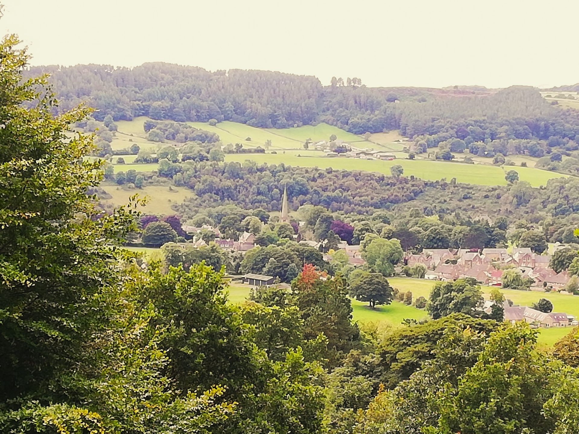 houses